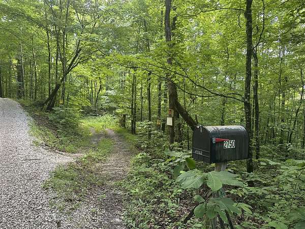 9.3 Acres of Residential Land for Sale in Monticello, Kentucky