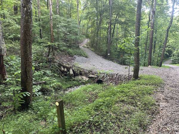 56.3 Acres of Recreational Land for Sale in Bronston, Kentucky