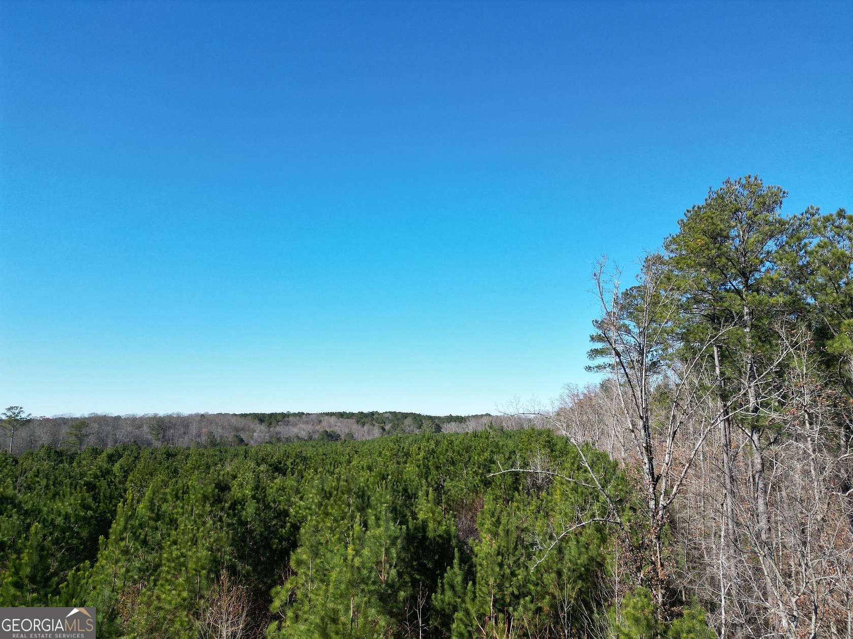 22.2 Acres of Recreational & Residential Land for Sale in Elberton, Georgia