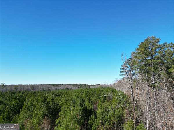 22.2 Acres of Recreational & Residential Land for Sale in Elberton, Georgia