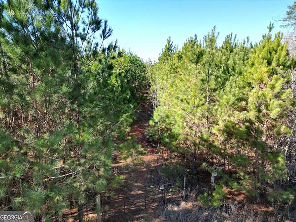 30 Acres of Recreational & Residential Land for Sale in Elberton, Georgia