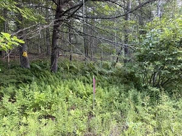 3.27 Acres of Land for Sale in Washington, Maine