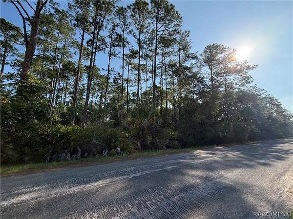 1.32 Acres of Residential Land for Sale in Crystal River, Florida