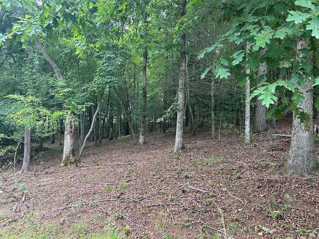 1.14 Acres of Residential Land for Sale in Blairsville, Georgia