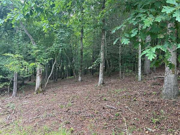 1.14 Acres of Residential Land for Sale in Blairsville, Georgia