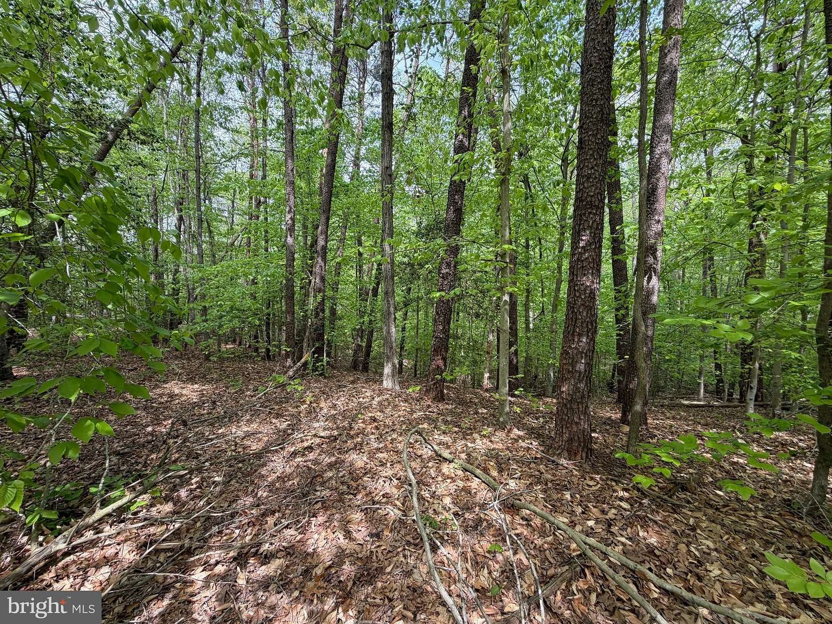3 Acres of Residential Land for Sale in Mechanicsville, Maryland