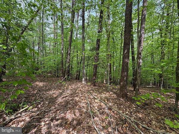 3 Acres of Residential Land for Sale in Mechanicsville, Maryland