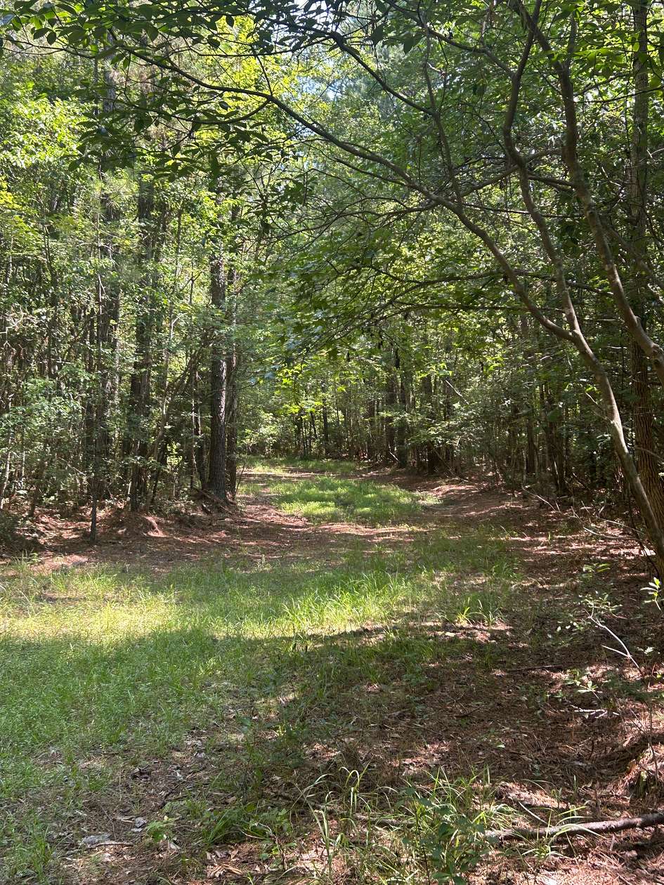 79 Acres of Recreational Land for Sale in Delco, North Carolina