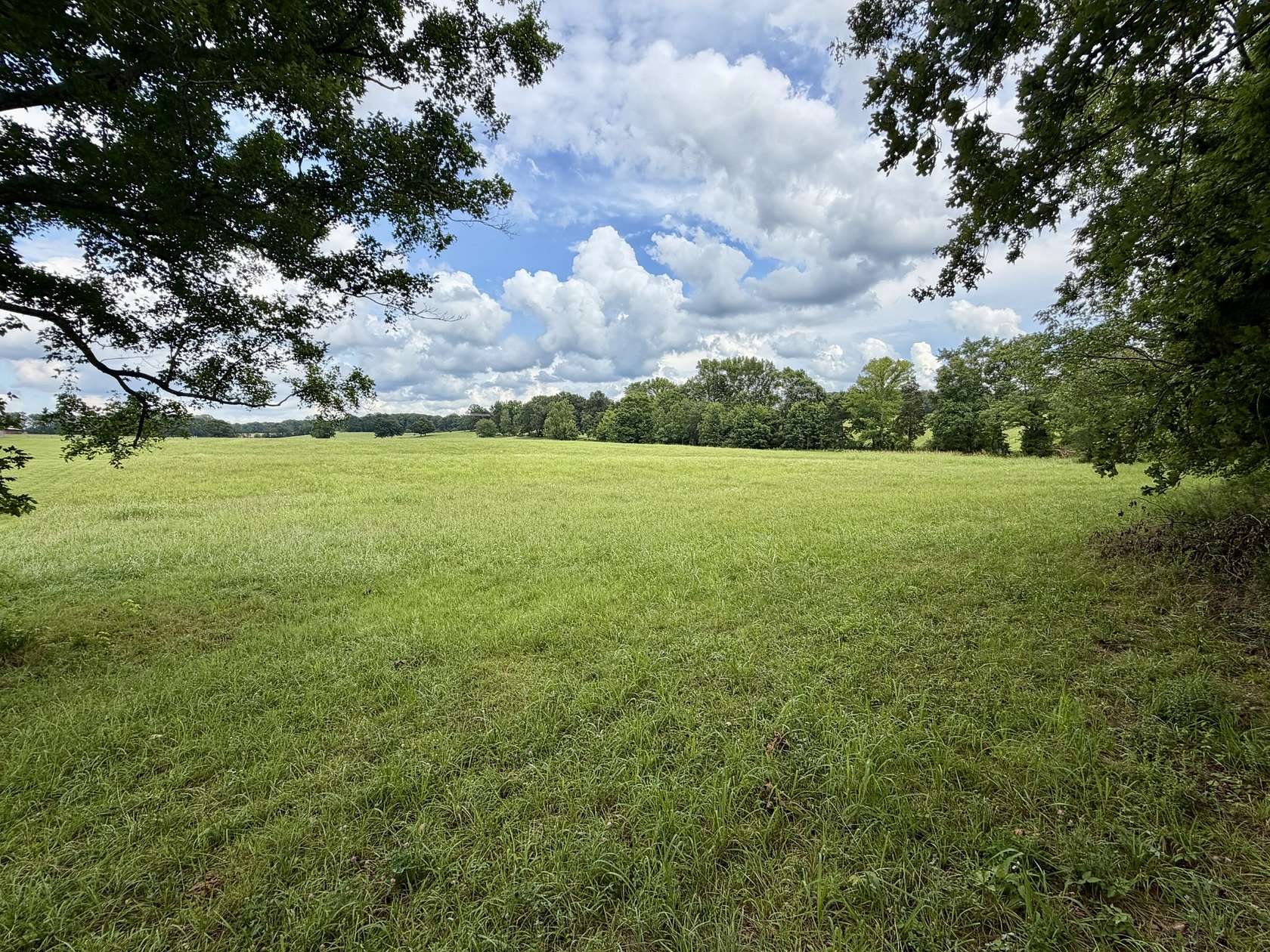 5 Acres of Residential Land for Sale in Tennessee Ridge, Tennessee