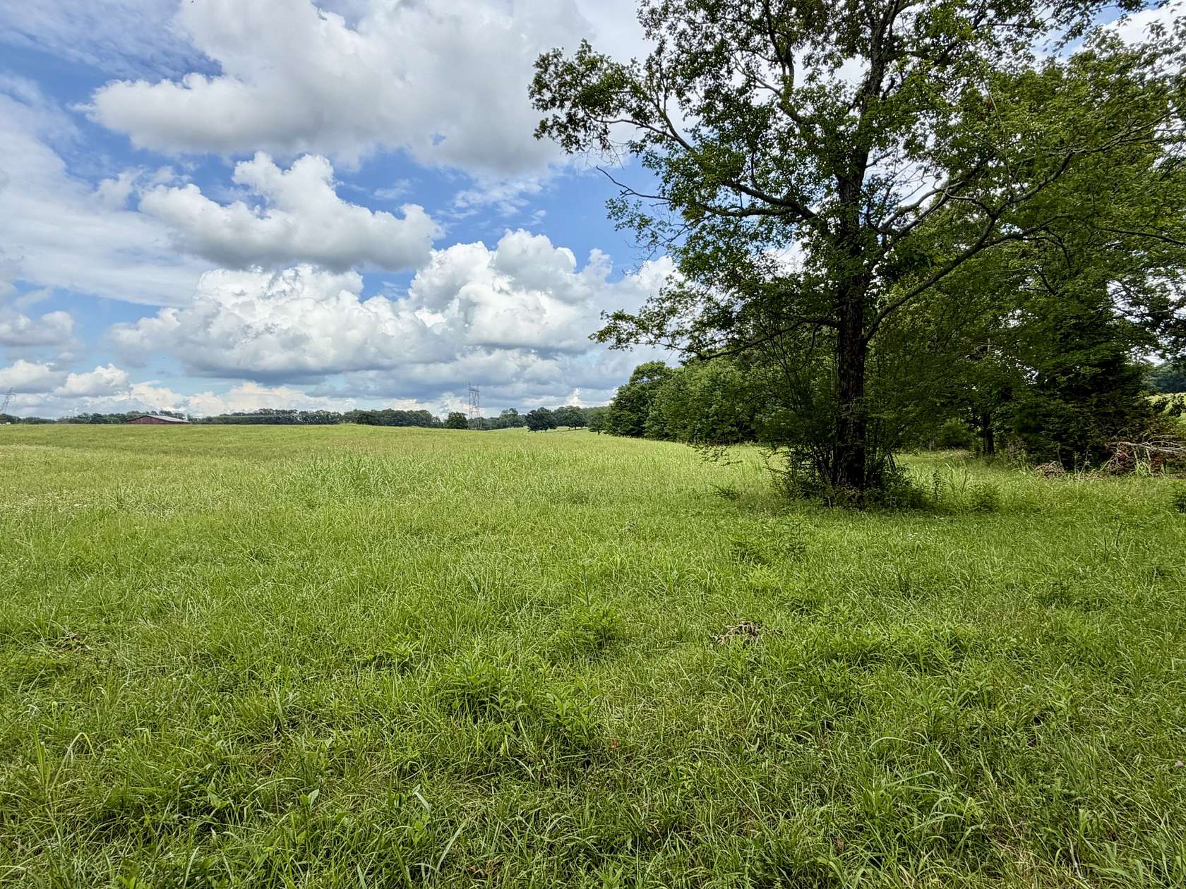 5 Acres of Residential Land for Sale in Tennessee Ridge, Tennessee