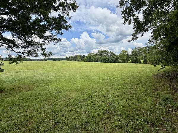 5 Acres of Residential Land for Sale in Tennessee Ridge, Tennessee