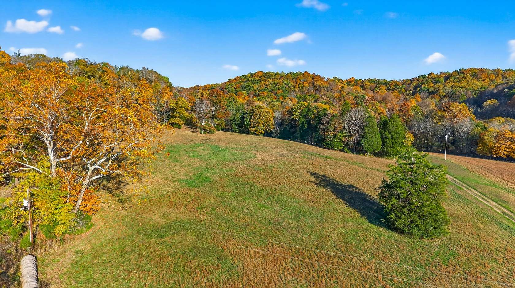 45.6 Acres of Land for Sale in Cottontown, Tennessee