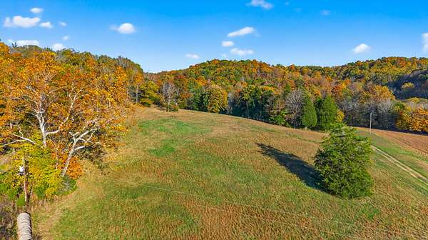 45.6 Acres of Land for Sale in Cottontown, Tennessee