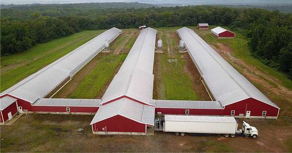 40 Acres of Improved Agricultural Land for Sale in Clarksville, Arkansas