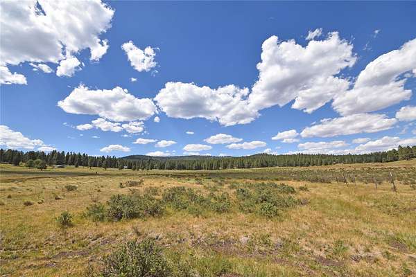 9.86 Acres of Residential Land for Sale in Coyote, New Mexico
