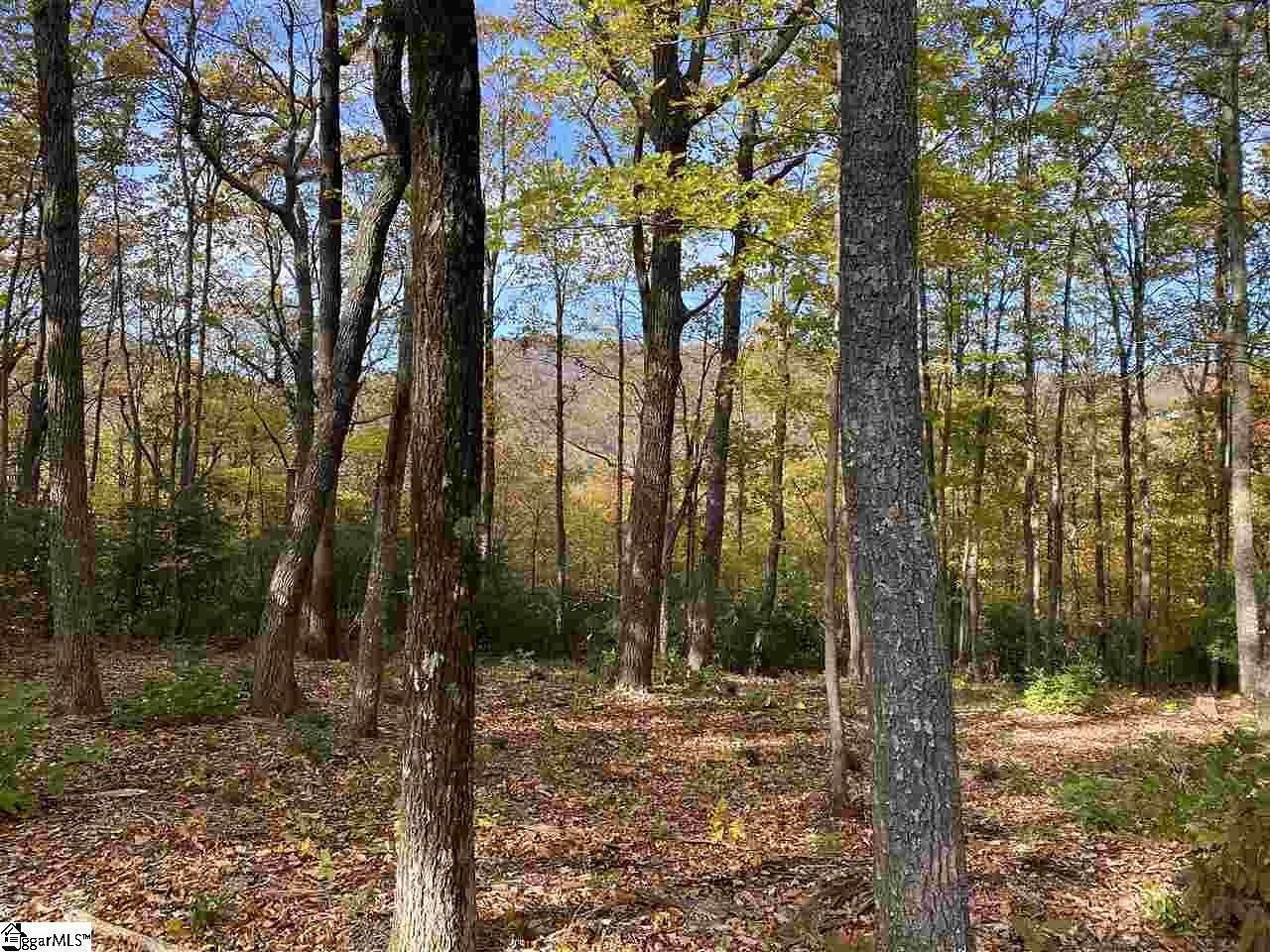 7.47 Acres of Residential Land for Sale in Travelers Rest, South Carolina