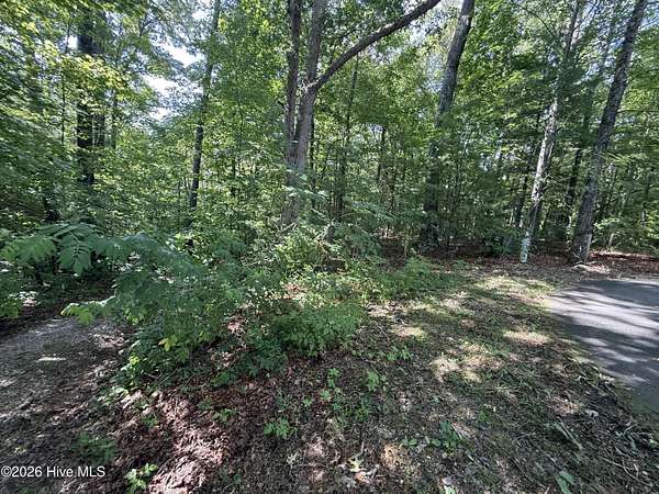 4.62 Acres of Residential Land for Sale in Farner, Tennessee