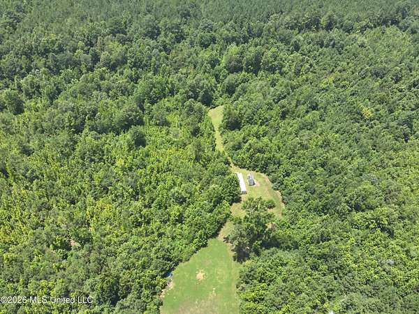 5 Acres of Residential Land for Sale in Carthage, Mississippi