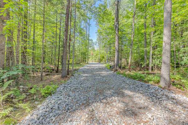 2.5 Acres of Residential Land for Sale in Campton Town, New Hampshire