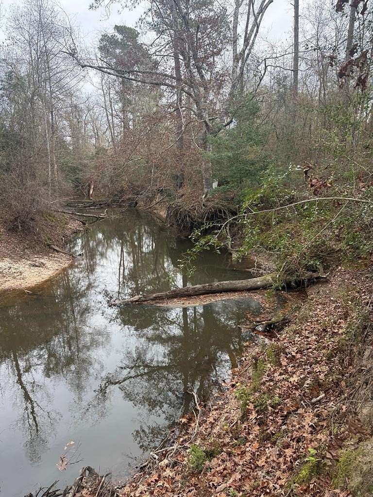 25.3 Acres of Recreational Land for Sale in Bon Wier, Texas