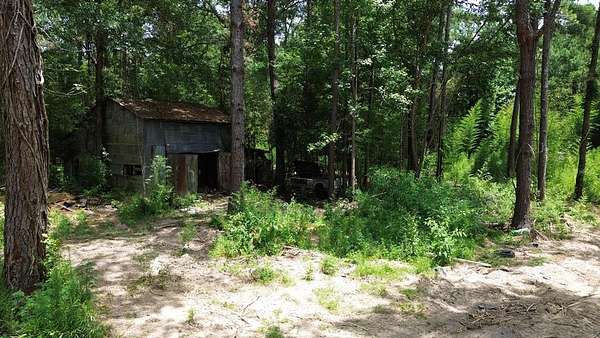 25.3 Acres of Recreational Land for Sale in Bon Wier, Texas