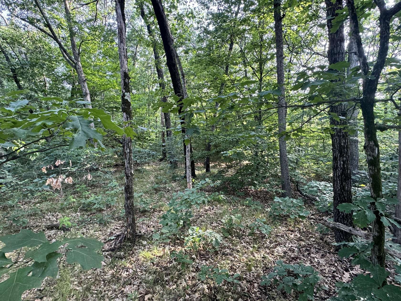0.71 Acres of Residential Land for Sale in White Cloud, Michigan