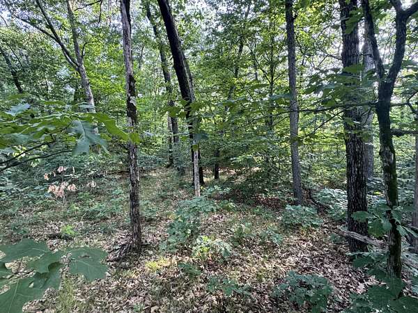 0.71 Acres of Residential Land for Sale in White Cloud, Michigan