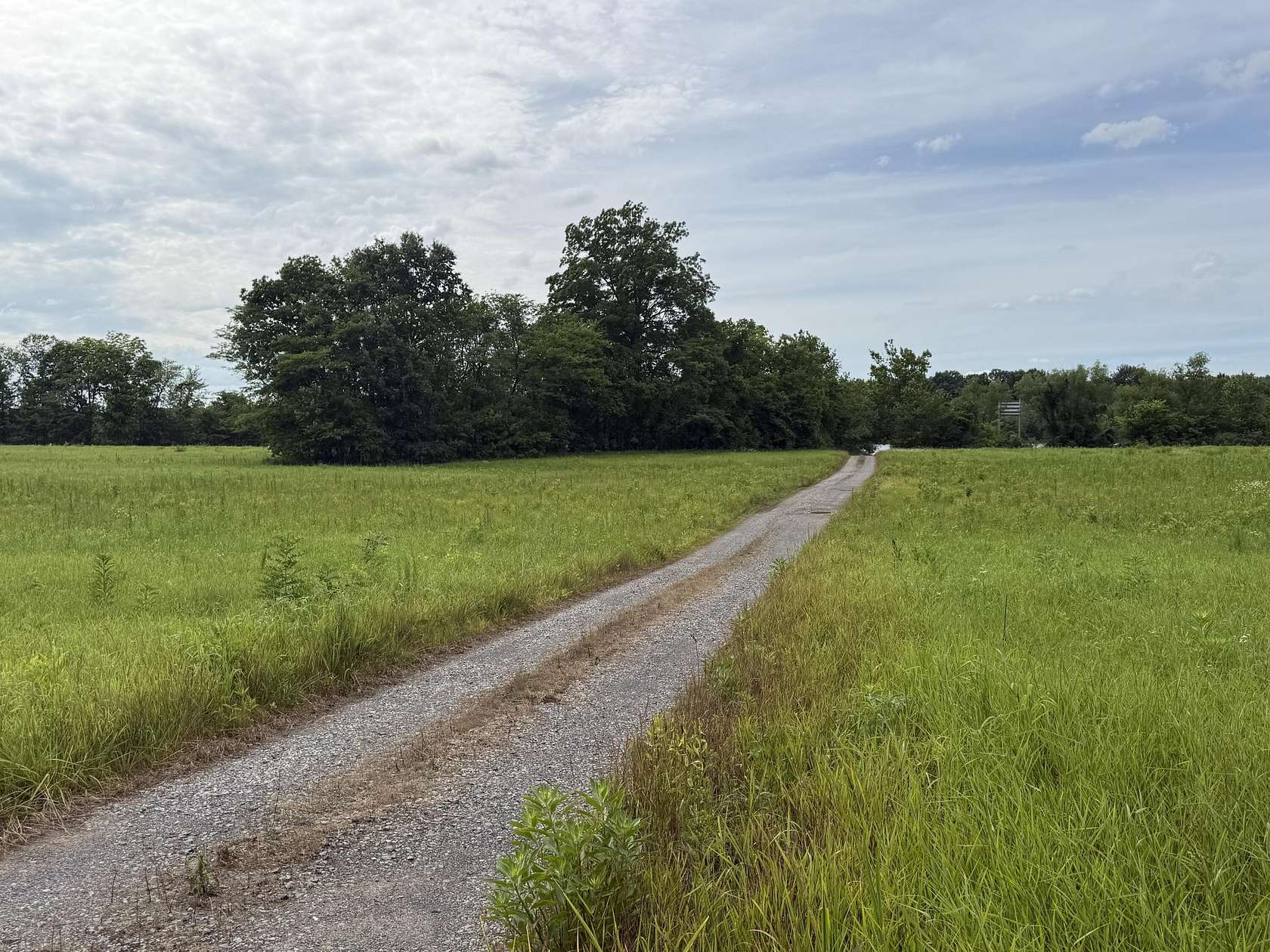 46 Acres of Land with Home for Auction in Calvert City, Kentucky