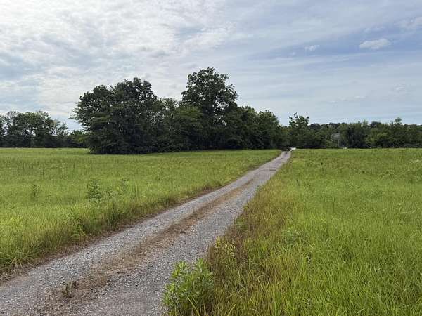 46 Acres of Land with Home for Auction in Calvert City, Kentucky