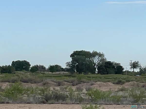 32.5 Acres of Mixed-Use Land for Sale in Artesia, New Mexico