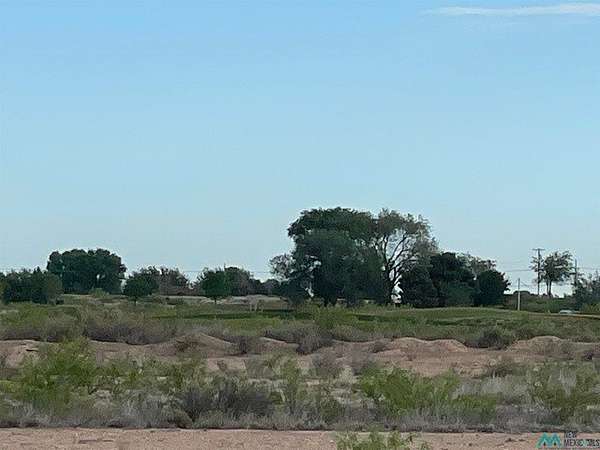 32.5 Acres of Mixed-Use Land for Sale in Artesia, New Mexico