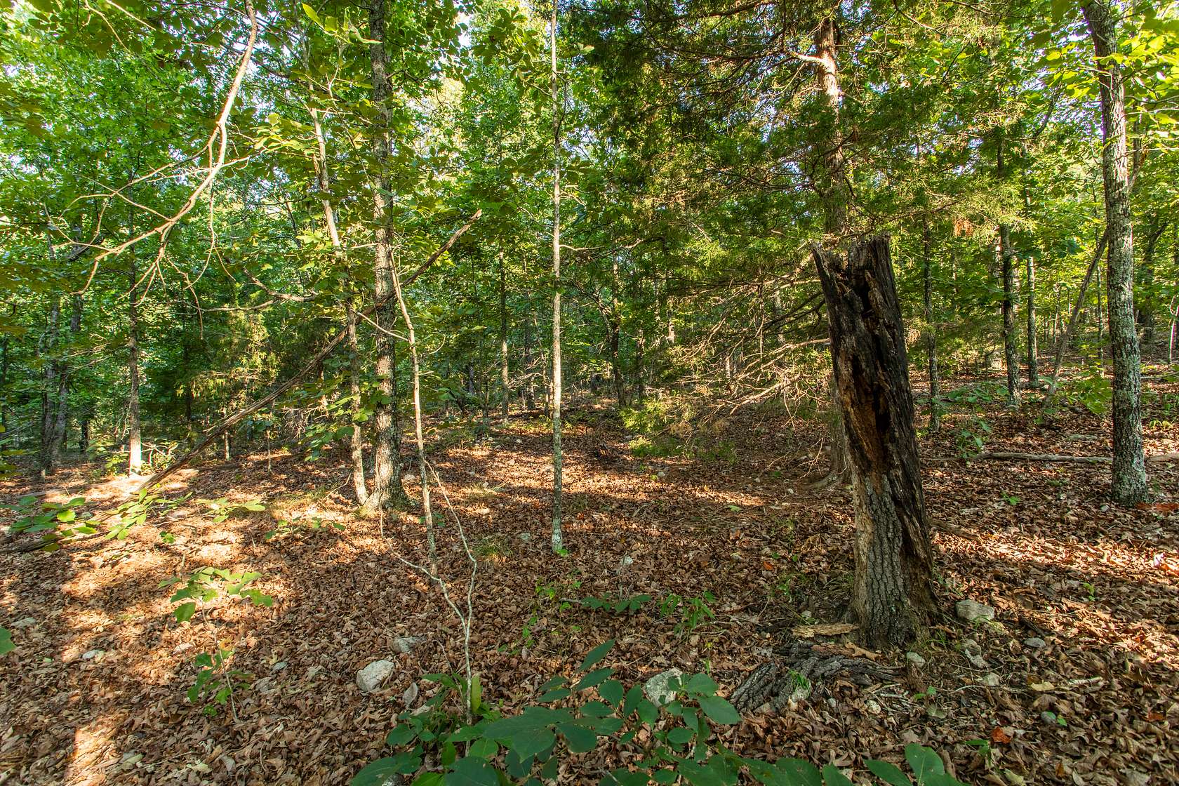 0.29 Acres of Residential Land for Sale in Horseshoe Bend, Arkansas