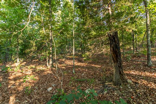0.29 Acres of Residential Land for Sale in Horseshoe Bend, Arkansas
