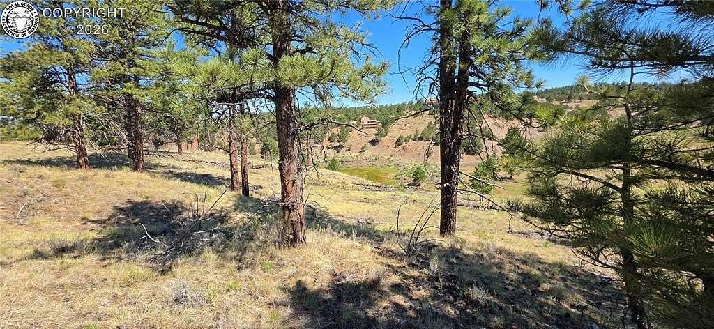 5.2 Acres of Residential Land for Sale in Westcliffe, Colorado