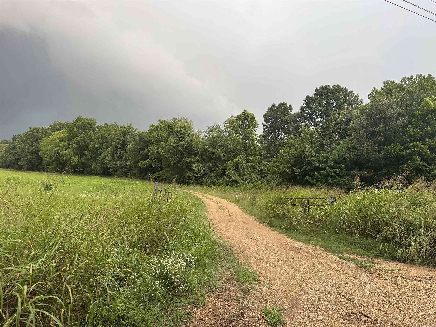 40 Acres of Recreational Land with Home for Sale in Piggott, Arkansas