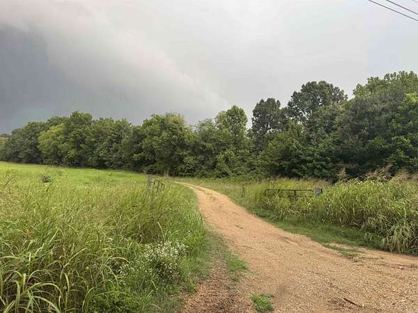 40 Acres of Recreational Land with Home for Sale in Piggott, Arkansas