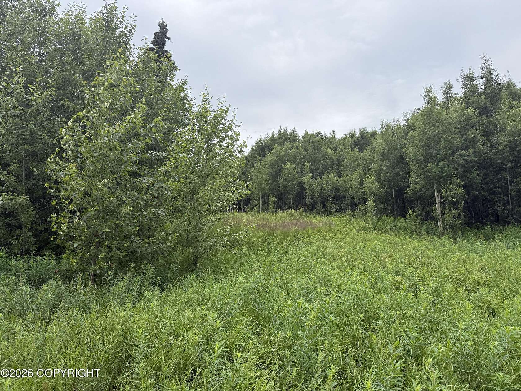 1.67 Acres of Residential Land for Sale in Palmer, Alaska