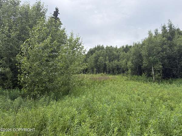 1.67 Acres of Residential Land for Sale in Palmer, Alaska