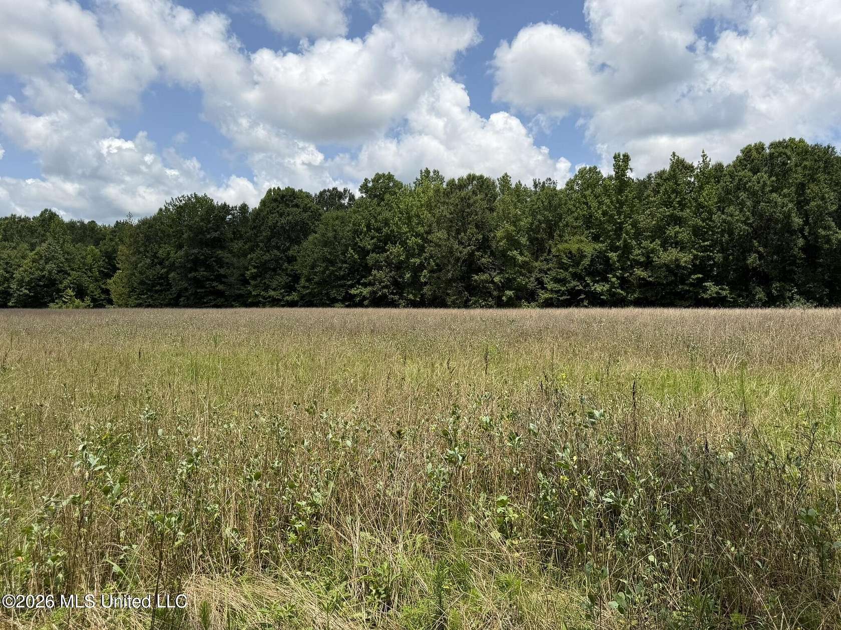 173 Acres of Recreational Land for Sale in West, Mississippi
