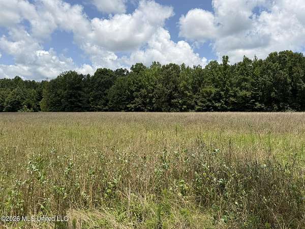 173 Acres of Recreational Land for Sale in West, Mississippi