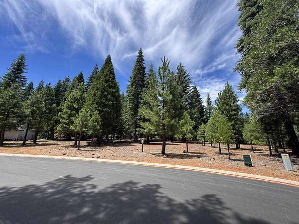 0.35 Acres of Residential Land for Sale in Lake Almanor Peninsula, California
