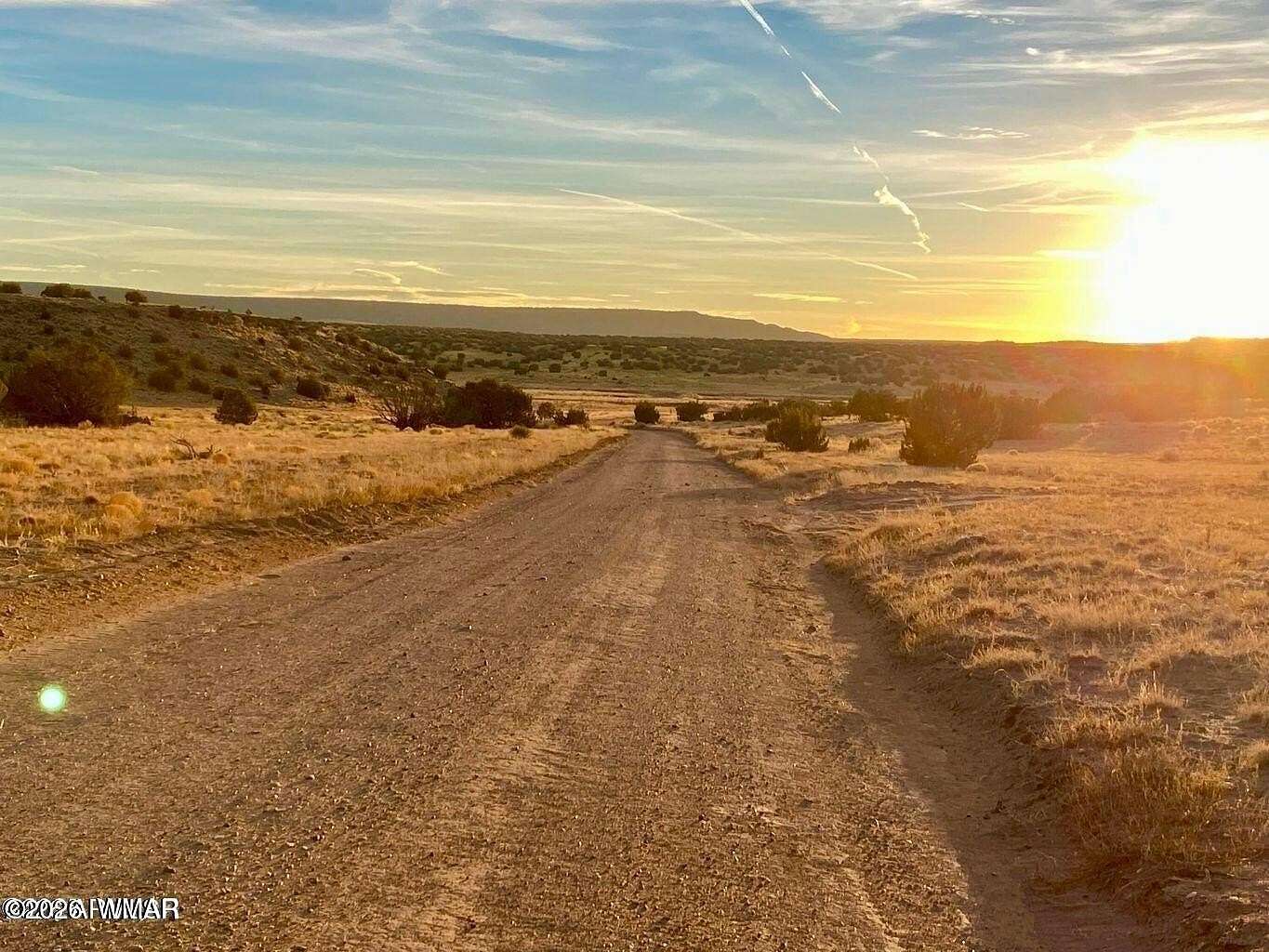36.3 Acres of Recreational & Residential Land for Sale in St. Johns, Arizona