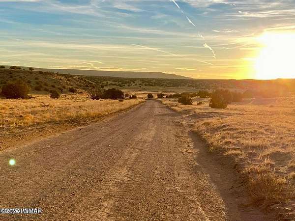 36.3 Acres of Recreational & Residential Land for Sale in St. Johns, Arizona