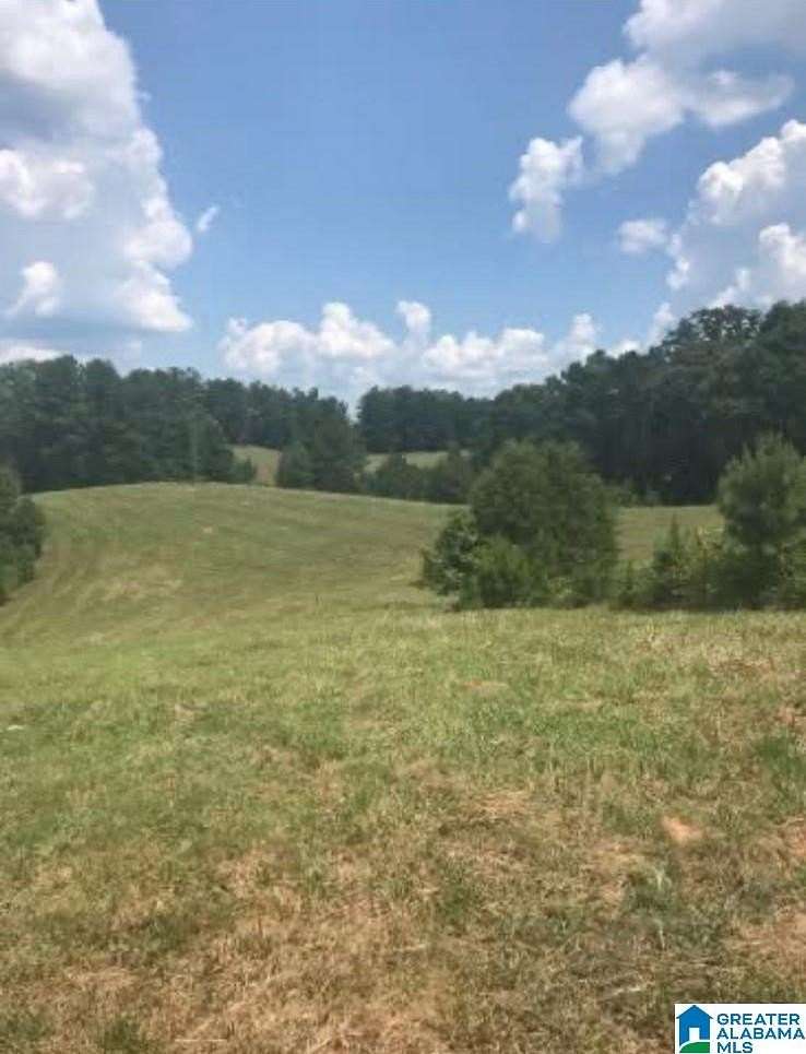 50 Acres of Land for Sale in Clanton, Alabama