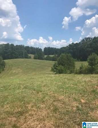 50 Acres of Land for Sale in Clanton, Alabama