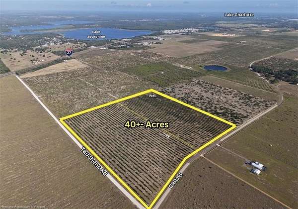 40 Acres of Land for Sale in Sebring, Florida