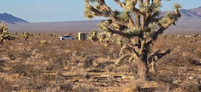 40 Acres of Land for Sale in Yucca, Arizona