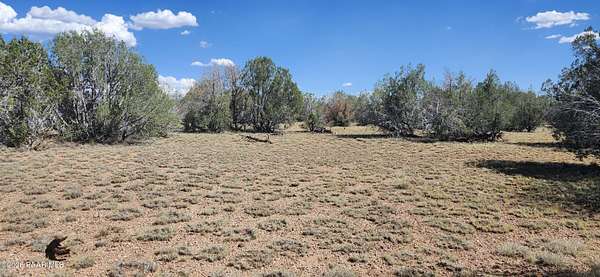 60.1 Acres of Land for Sale in Williams, Arizona