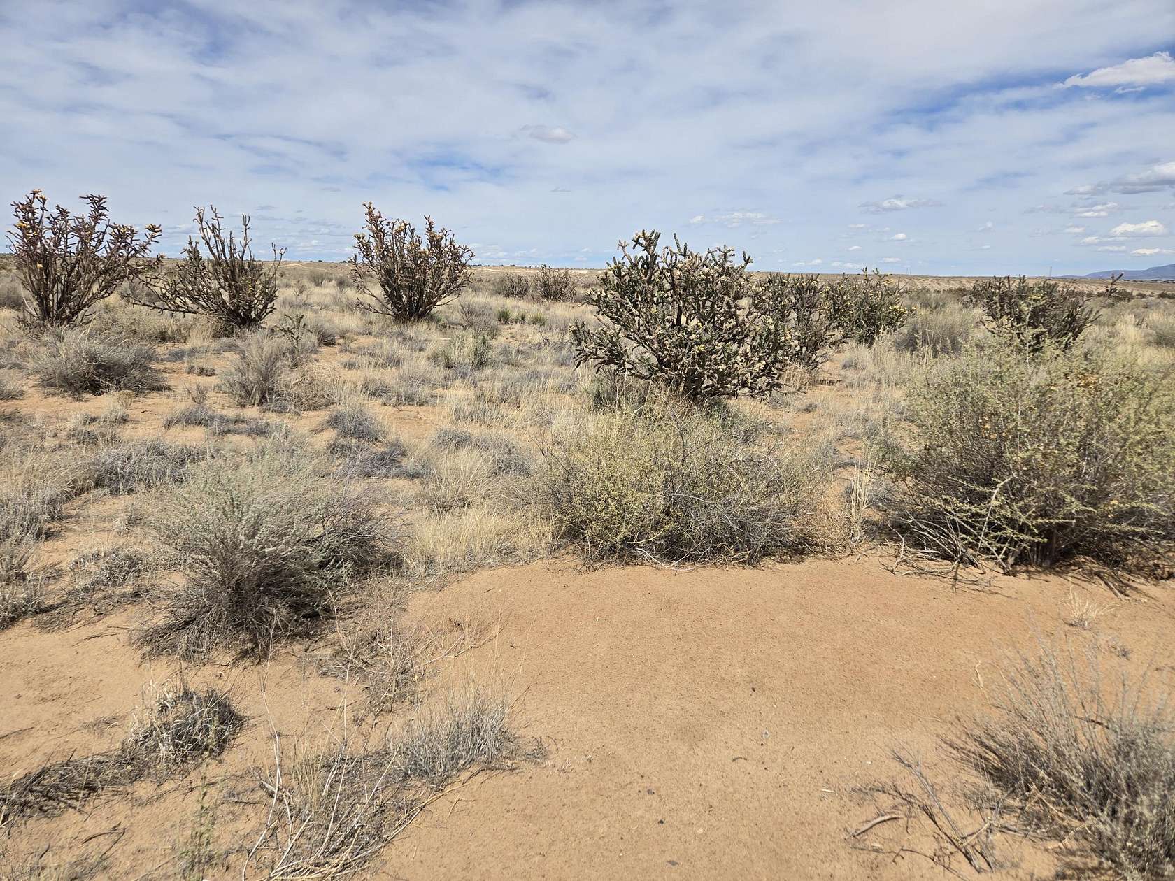 1.19 Acres of Land for Sale in Rio Rancho, New Mexico