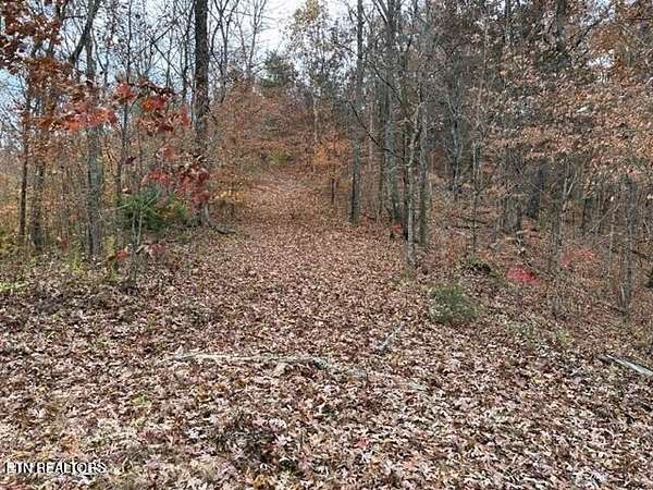 5 Acres of Residential Land for Sale in Walland, Tennessee